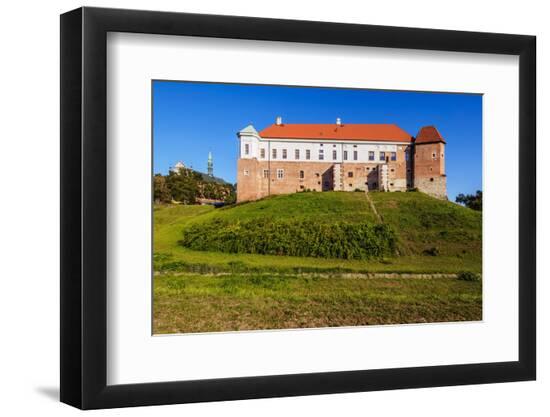 Photographic Print, , large