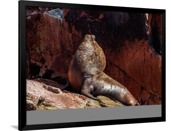 Photographic Print, , large