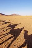 Shadows of people riding camels in a caravan at Zagora Desert, Draa-Tafilalet Region, Morocco-Karol Kozlowski-Photographic Print