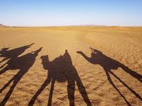 Shadows of people riding camels in a caravan at Zagora Desert, Draa-Tafilalet Region, Morocco-Karol Kozlowski-Photographic Print