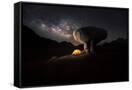 Canvas Black