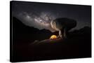 Stretched Canvas