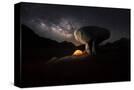 Stretched Canvas