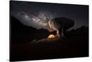 Stretched Canvas