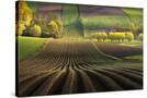 Stretched Canvas