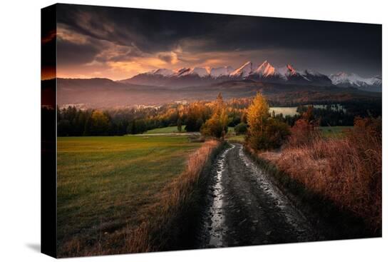 Stretched Canvas Print, , large