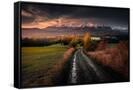 Canvas Black