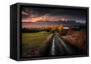 Canvas Black