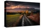 Stretched Canvas