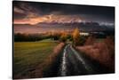Stretched Canvas