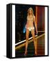 Karolina Kurkova-null-Framed Stretched Canvas