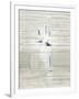 Gramercy White