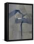 Framed Canvas