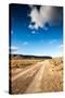 Karoo Desert Gravel Road-dan-edwards-Stretched Canvas