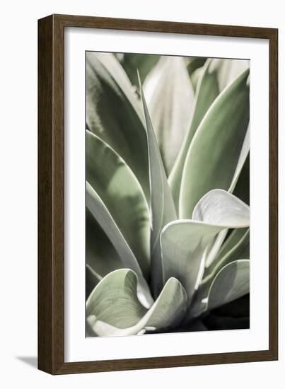 Karro Bloom-Shot by Clint-Framed Giclee Print