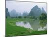 Karst Limestone Landscape Typical of the Region South of Guilin, Guangxi, Yangshuo, China-Robert Francis-Mounted Photographic Print