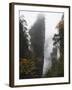 Karst Limestone Rock Formations at Zhangjiajie Forest Park, Wulingyuan Scenic Area, Hunan Province-Christian Kober-Framed Photographic Print