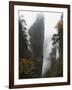 Karst Limestone Rock Formations at Zhangjiajie Forest Park, Wulingyuan Scenic Area, Hunan Province-Christian Kober-Framed Photographic Print