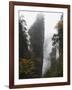 Karst Limestone Rock Formations at Zhangjiajie Forest Park, Wulingyuan Scenic Area, Hunan Province-Christian Kober-Framed Photographic Print