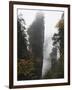 Karst Limestone Rock Formations at Zhangjiajie Forest Park, Wulingyuan Scenic Area, Hunan Province-Christian Kober-Framed Photographic Print