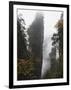 Karst Limestone Rock Formations at Zhangjiajie Forest Park, Wulingyuan Scenic Area, Hunan Province-Christian Kober-Framed Photographic Print