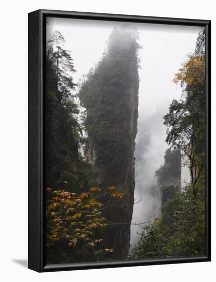 Karst Limestone Rock Formations at Zhangjiajie Forest Park, Wulingyuan Scenic Area, Hunan Province-Christian Kober-Framed Photographic Print