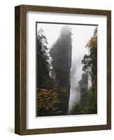 Karst Limestone Rock Formations at Zhangjiajie Forest Park, Wulingyuan Scenic Area, Hunan Province-Christian Kober-Framed Photographic Print