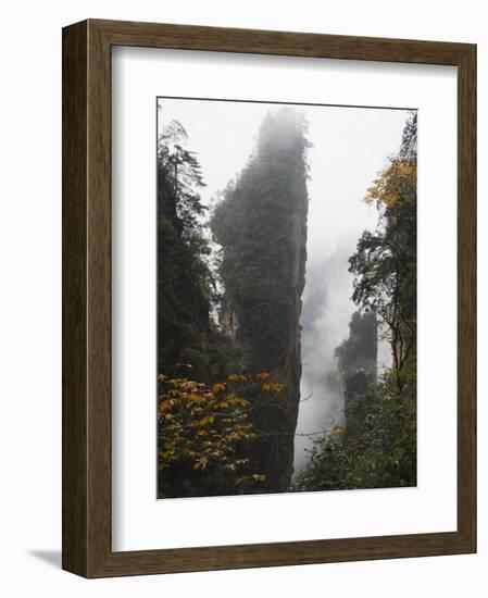 Karst Limestone Rock Formations at Zhangjiajie Forest Park, Wulingyuan Scenic Area, Hunan Province-Christian Kober-Framed Photographic Print