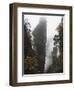 Karst Limestone Rock Formations at Zhangjiajie Forest Park, Wulingyuan Scenic Area, Hunan Province-Christian Kober-Framed Photographic Print