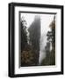 Karst Limestone Rock Formations at Zhangjiajie Forest Park, Wulingyuan Scenic Area, Hunan Province-Christian Kober-Framed Photographic Print