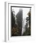 Karst Limestone Rock Formations at Zhangjiajie Forest Park, Wulingyuan Scenic Area, Hunan Province-Christian Kober-Framed Photographic Print