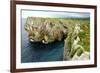 Karst Limestone Sea Cliffs at Pria, with Picos de Europa Mountains, Near Llanes, Asturias, Spain-Nick Upton-Framed Photographic Print