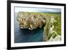 Karst Limestone Sea Cliffs at Pria, with Picos de Europa Mountains, Near Llanes, Asturias, Spain-Nick Upton-Framed Photographic Print