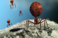 Bacteriophage Viruses-Karsten Schneider-Framed Photographic Print