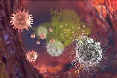 Bacteriophage Viruses-Karsten Schneider-Framed Photographic Print