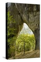 Karstic Rock Arch in the Korana Canjon, Plitvice Lakes National Park, Croatia, October 2008-Biancarelli-Stretched Canvas