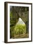 Karstic Rock Arch in the Korana Canjon, Plitvice Lakes National Park, Croatia, October 2008-Biancarelli-Framed Premium Photographic Print