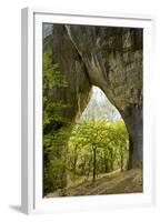 Karstic Rock Arch in the Korana Canjon, Plitvice Lakes National Park, Croatia, October 2008-Biancarelli-Framed Premium Photographic Print