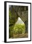 Karstic Rock Arch in the Korana Canjon, Plitvice Lakes National Park, Croatia, October 2008-Biancarelli-Framed Premium Photographic Print