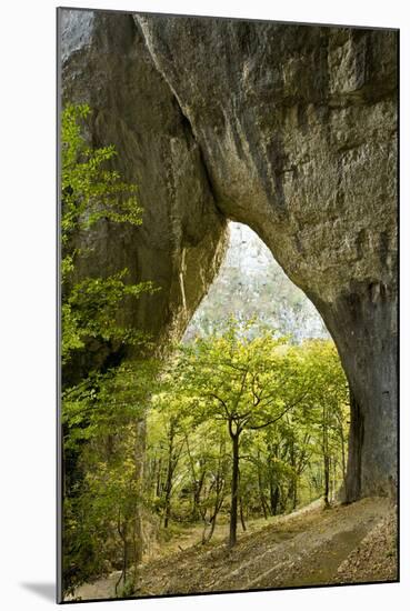 Karstic Rock Arch in the Korana Canjon, Plitvice Lakes National Park, Croatia, October 2008-Biancarelli-Mounted Premium Photographic Print