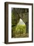 Karstic Rock Arch in the Korana Canjon, Plitvice Lakes National Park, Croatia, October 2008-Biancarelli-Framed Photographic Print