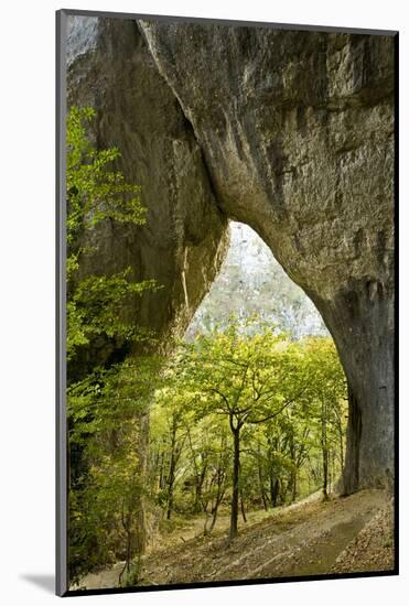 Karstic Rock Arch in the Korana Canjon, Plitvice Lakes National Park, Croatia, October 2008-Biancarelli-Mounted Photographic Print