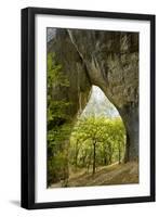 Karstic Rock Arch in the Korana Canjon, Plitvice Lakes National Park, Croatia, October 2008-Biancarelli-Framed Photographic Print