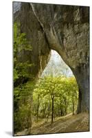 Karstic Rock Arch in the Korana Canjon, Plitvice Lakes National Park, Croatia, October 2008-Biancarelli-Mounted Photographic Print