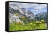 Karwendel Mountain Range, Tyrol, Austria-Martin Zwick-Framed Stretched Canvas