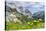 Karwendel Mountain Range, Tyrol, Austria-Martin Zwick-Stretched Canvas