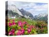 Karwendel Mountain Range, Tyrol, Austria-Martin Zwick-Stretched Canvas