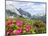 Karwendel Mountain Range, Tyrol, Austria-Martin Zwick-Mounted Photographic Print