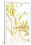 Gramercy White