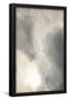 Essential Black